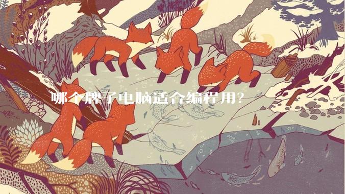 哪个牌子电脑适合编程用？