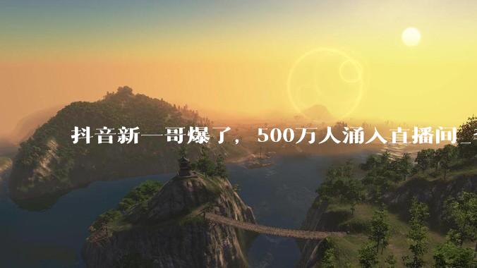 抖音新一哥爆了，500万人涌入直播间_李亚鹏_商业_销售额