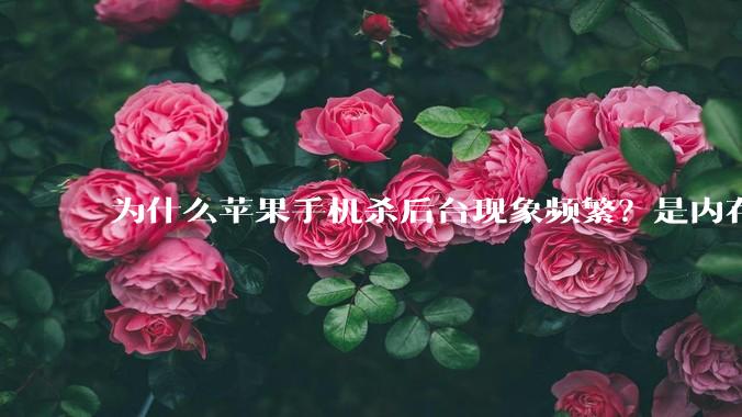 为什么苹果手机杀后台现象频繁？是内存不够、后台管理严格还是其他原因呢？