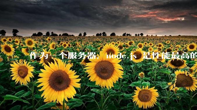 作为一个服务器，node.js 是性能最高的吗？